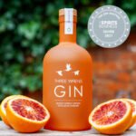 blood orange apricot gin the gin masters awarded